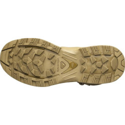 Salomon QUEST 4D GTX FORCES 2 Coyote Brown